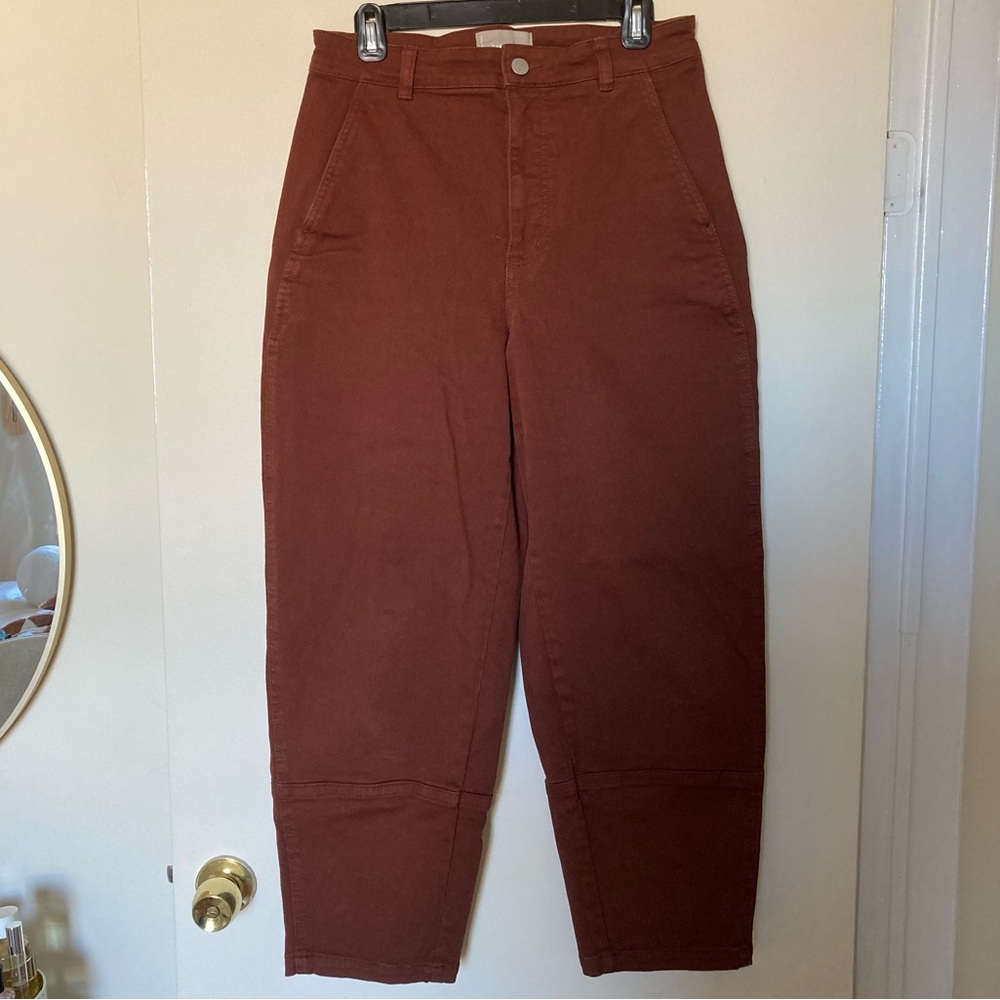 Everlane The Utility Barrel Pant